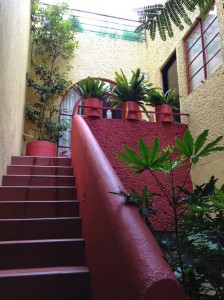 Steps leading to Red Tree House room